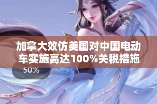 加拿大效仿美国对中国电动车实施高达100%关税措施