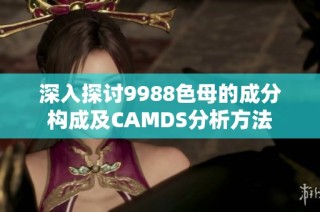 深入探讨9988色母的成分构成及CAMDS分析方法