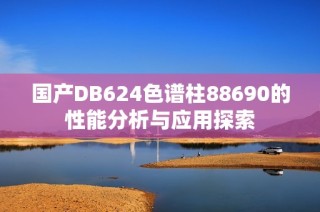 国产DB624色谱柱88690的性能分析与应用探索